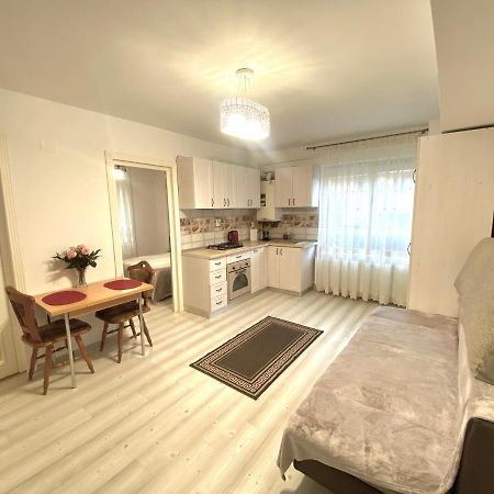Apartament Sara Lejlighed Iasi Eksteriør billede